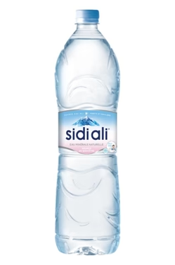 Sidi Ali Moroccan mineral water bottle